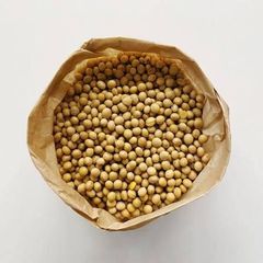 Ghana Soya Beans – 99% Purity, 13% Moisture, High Protein - Image 3